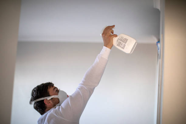 Best Industrial Mold Remediation in Grant, NE