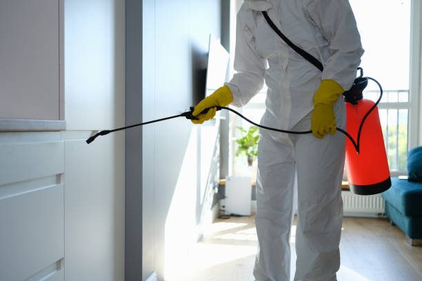 Best Residential Mold Remediation in Grant, NE