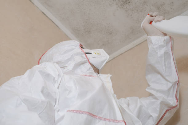 Grant, NE Mold Remediation Company