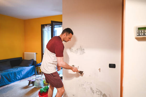 Best Mold Testing and Inspection Services in Grant, NE